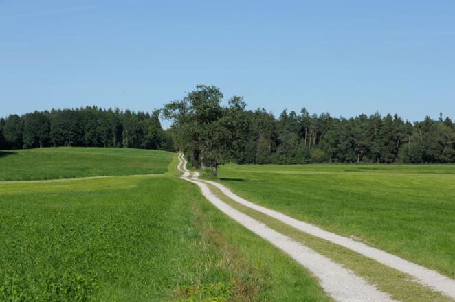 VIA NOVA Neumarkt Weg