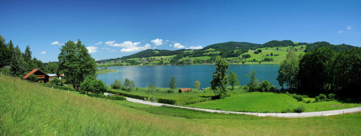 Blick über den Irrsee