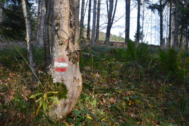 Die Kennzeichnung des Wanderweges begleitet jeden Wanderer