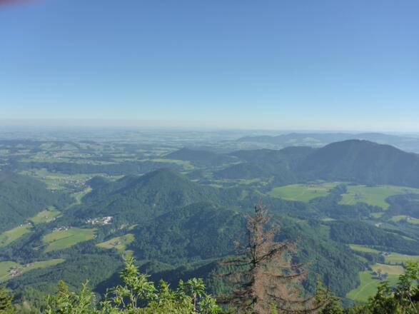 Blick vom Ochsenberg auf den Strumberg 