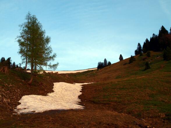 Anstieg zum Sattel 1360m