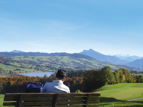 Blick über Irrsee Richtung Schafberg