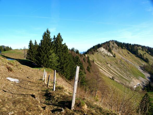 Übergang zum Gartenberg 1454m