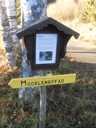 Start in den Moorlehrpfad