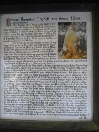 Geschichte der Riesentanne