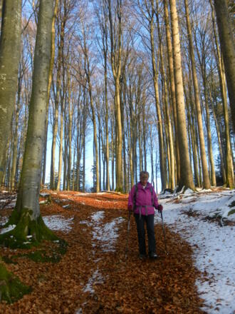 Abstieg zur Riesentanne