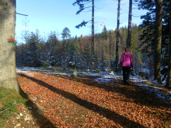 am breiten Waldrücken zum 1. Windrad