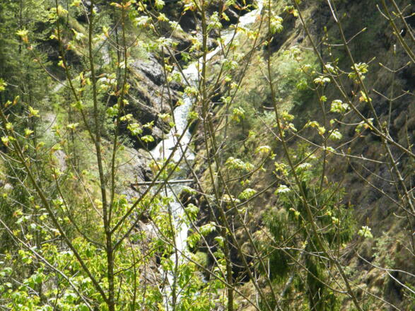 Blick vom Mauthäusl in die Schlucht