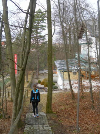 vom Aussichtsplatz zum Waldgasthaus
