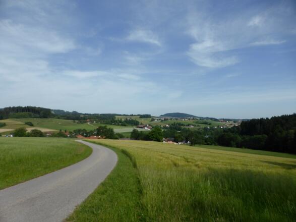 Durch Wald und Wiesen Richtung Maria Schmolln