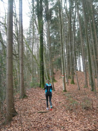 wandern oder laufen am Trimmpfad