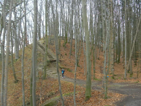 Anstieg zur Keltenburg