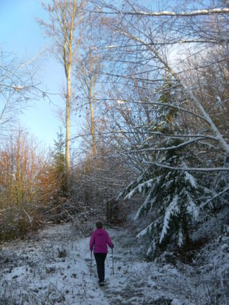 kurzer Wanderpfad am Rücken