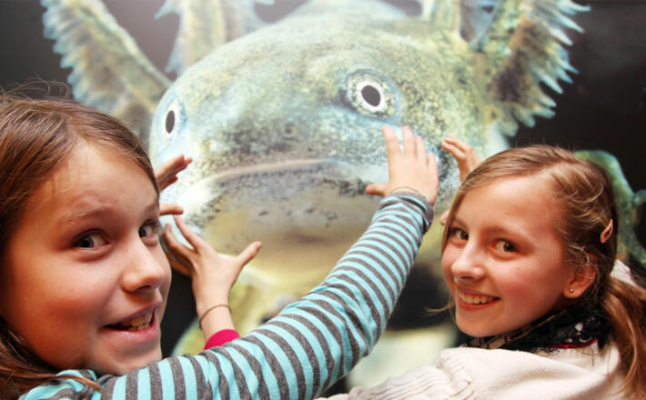 Abenteuer Museum Haus der Natur Salzburg