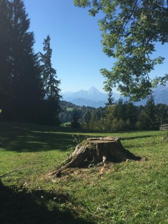 Blick auf den Watzmann 