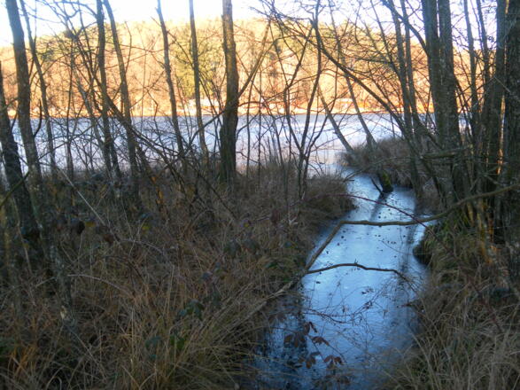 Ende des Moorlehrpfades