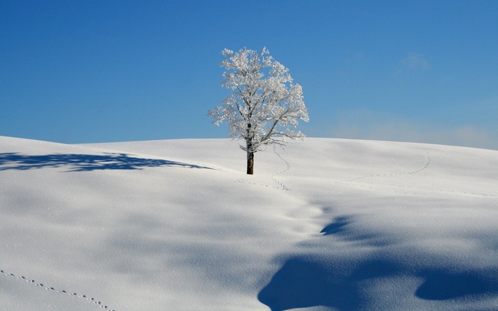Fotowettbewerb auf der Hemmersuppenalm