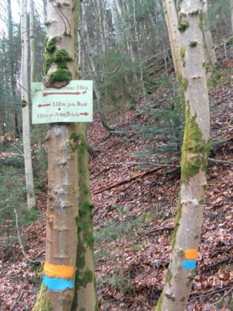 Weg zum Salzachdurchbruch