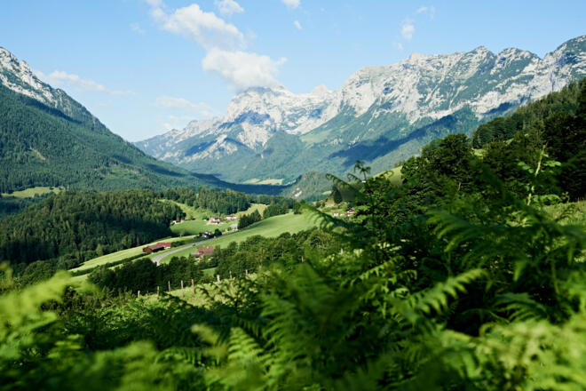 Blick zur Reiter Alm