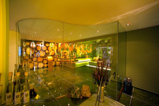 Ausstellung &quot;Wunderwelt Waldwildnis&quot;