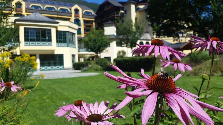 Blick auf die Yogaterrasse 