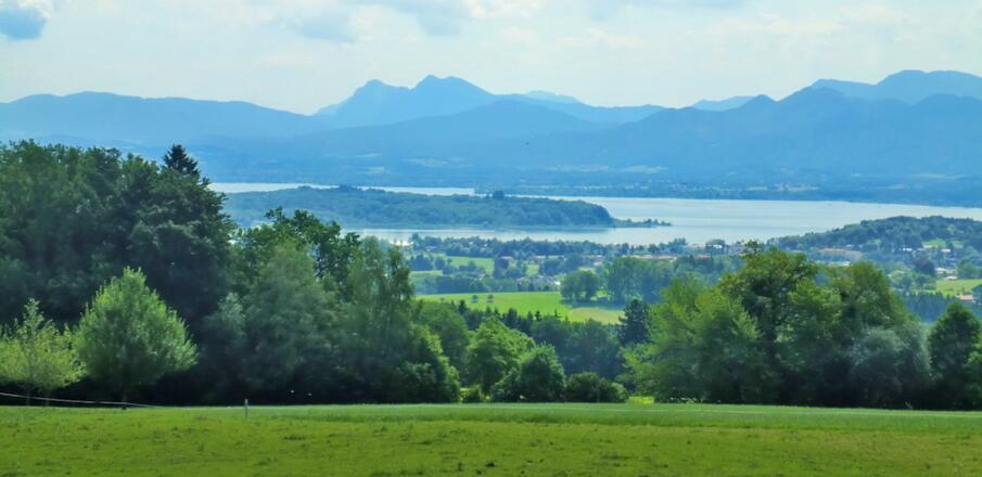 Station 12: Bienenlehrstand