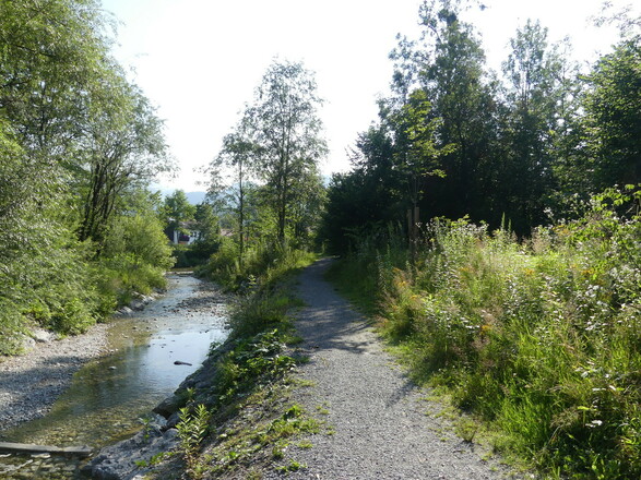 Spazierweg am Auerbach