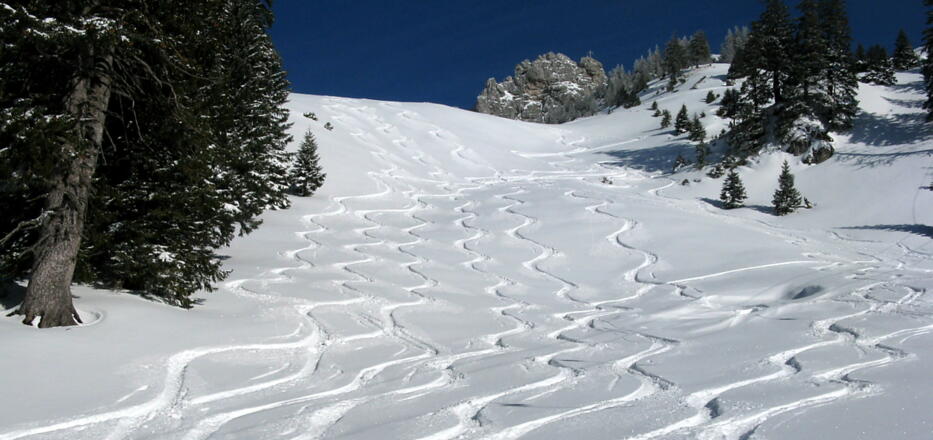 Zum &quot;richtigen Zeitpunkt am richtigen Ort&quot;; Abfahrtspuren abseits vom Lacherlift!