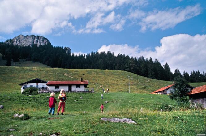 Anstieg zur Daffnerwaldalm