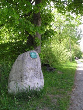 Findling am Steinlehrpfad