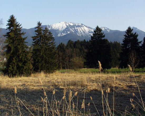 Die Samerberger Filze im Herbst