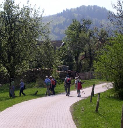 In Gerstland Richtung Gritschen