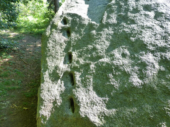 Interessantes Detail am Naturdenkmal Grauer Stein