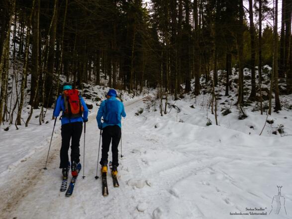 von Bruchfeld auf der Forststraße aufwärts