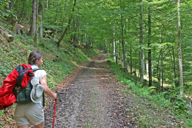 Abstieg Audofer Alm ins Gießenbachtal