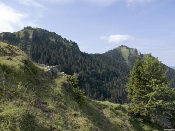 Ausblick von der Seitenalm zu Karkopf und Feichteck
