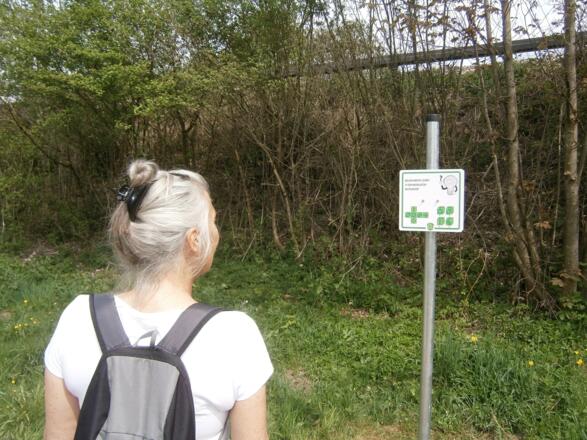 Rimstinger Gehirn-Jogging-Weg