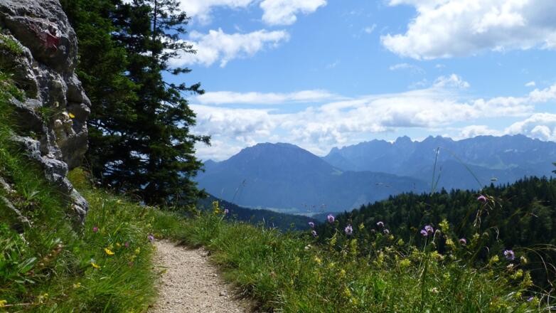 Zwischen Groß-Alm und Brünnsteinhaus