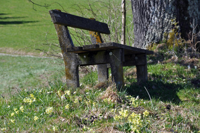 auf dem Weg zur Ziffer Alm