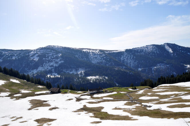 die Pölcher Alm liegt in einer südseitigen Senke