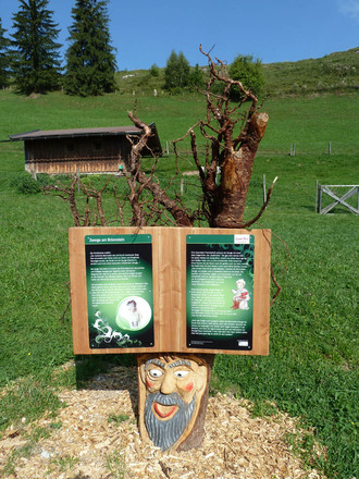 Sagenweg Hocheck - Waldgeist