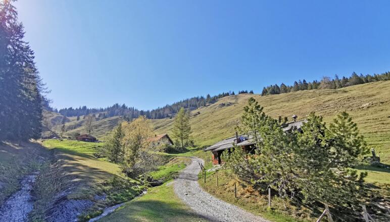 Audorfer Alm Kiefersfelden