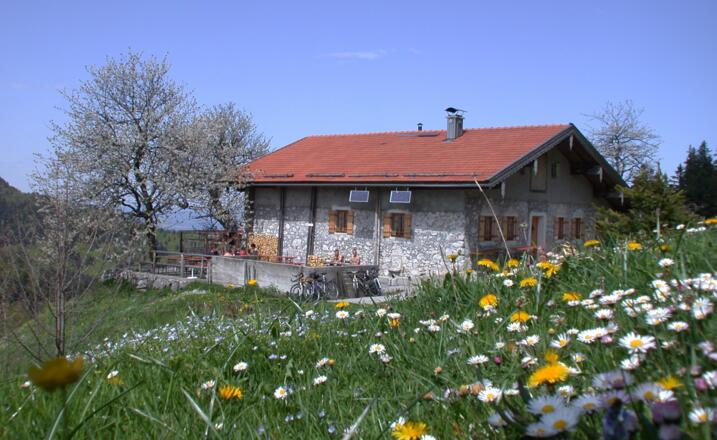 Frühling auf der Wagner Alm