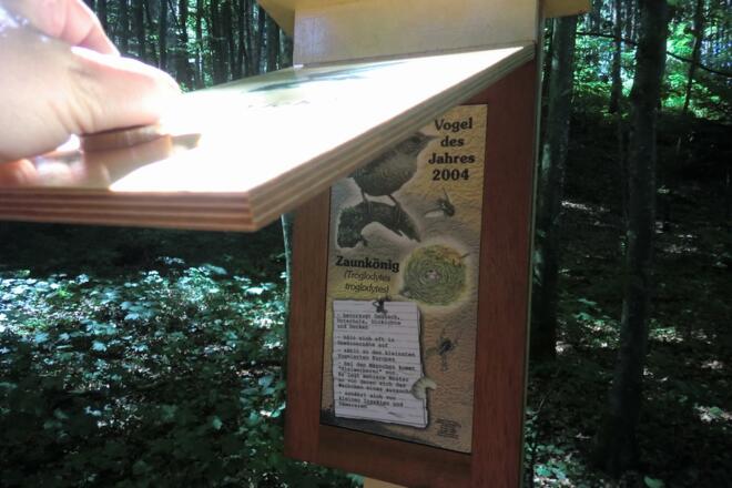 Station 5: Vogelbestimmungskästen