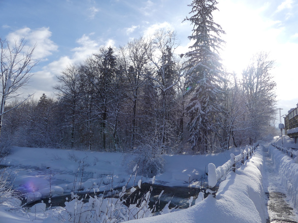 Winterwandern am Auerbach