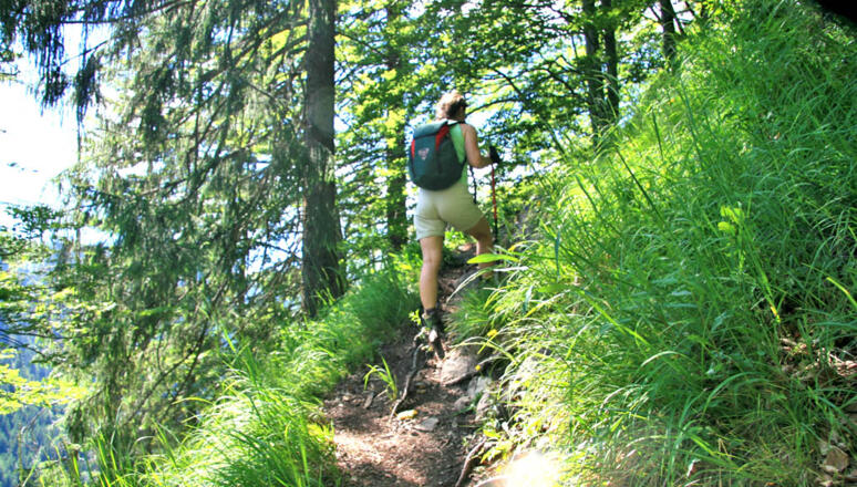 Aufstieg vom Naturfreundehaus zur Herrenalm