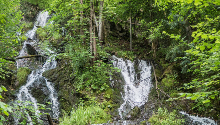 Hechtsee Abfluss - Station 12 Kieferer Energiewanderweg
