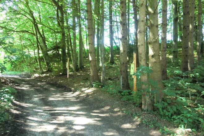 Station 5: Vogelbestimmungskästen