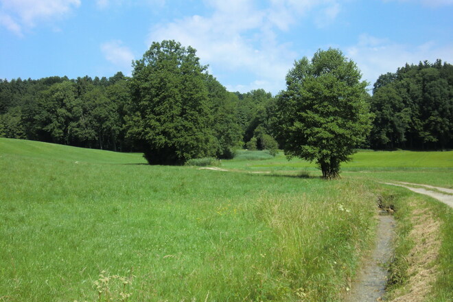 Zum Erlebnisweg von Greimharting nach Osterhofen