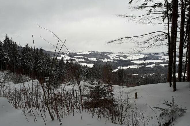 Winterlicher Ausblick